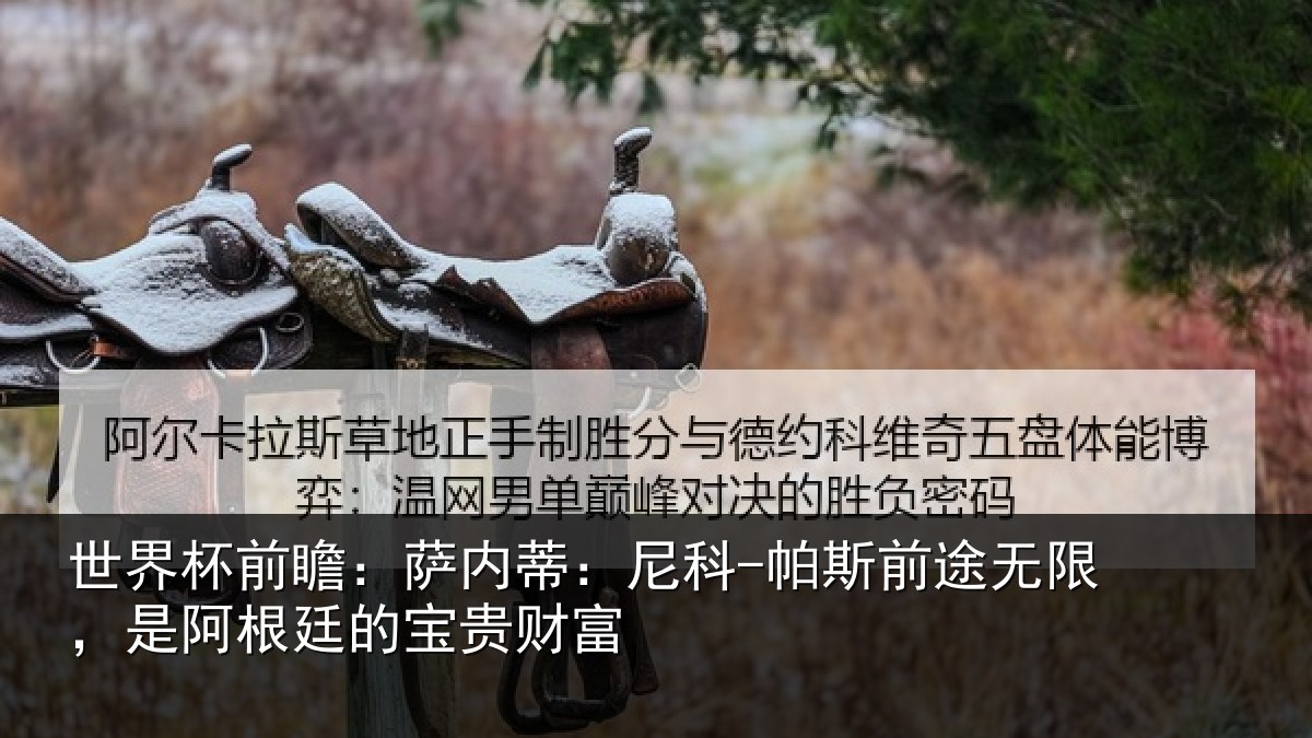 世界杯前瞻:萨内蒂:尼科相关情况根廷的宝贵财富