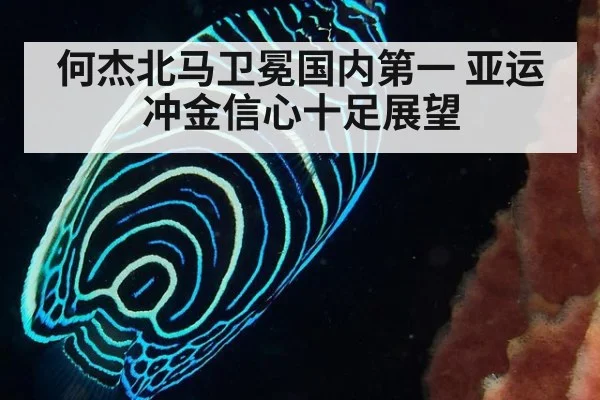 何杰北马卫冕国内第一 亚运冲金信心十足展望
